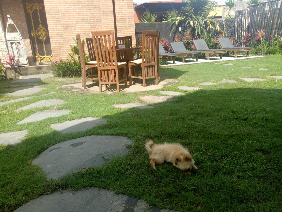 Bunbulan Hill Hostel And Cottage 킨타마니 외부 사진